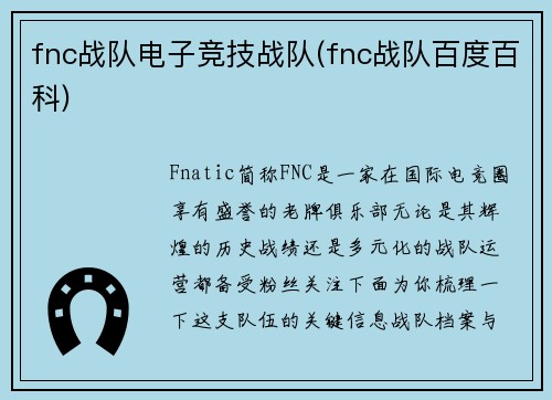 fnc战队电子竞技战队(fnc战队百度百科)